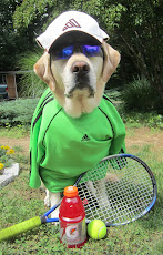 Tennis Anyone?