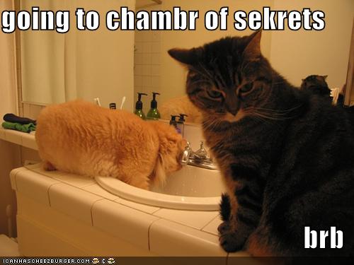 potter harry funny cats lolcats memes cat animals brb secrets chamber humor sink going animal meme chambr lightning hilarious attack