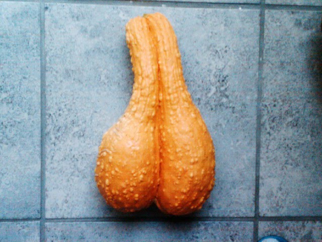 Saline+in+Scrotum Scrotum Infusions http://saintatlantis.blogspot.com/2011_08_01_archive ...