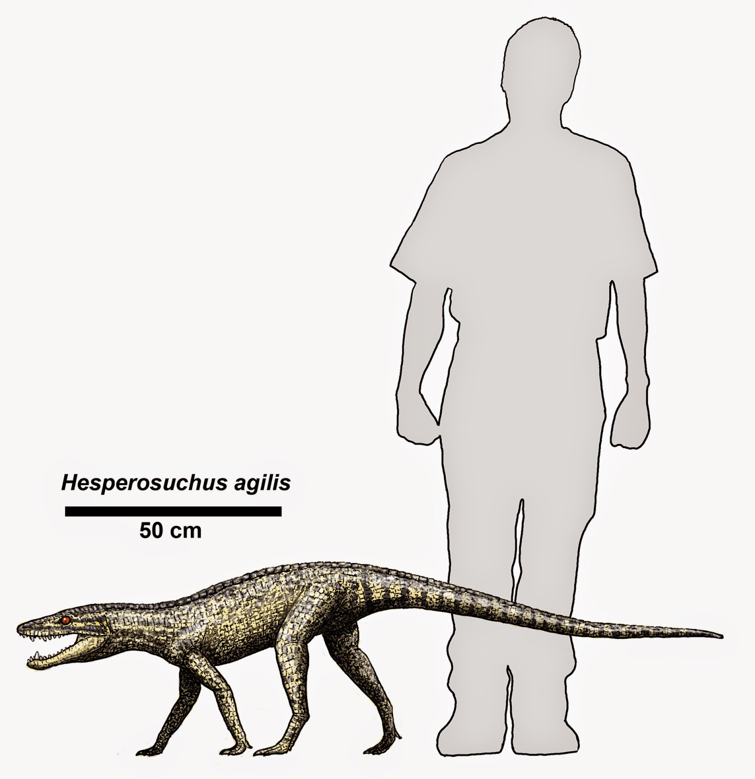 Palaeos, la historia de la Vida en la Tierra Dino caníbales