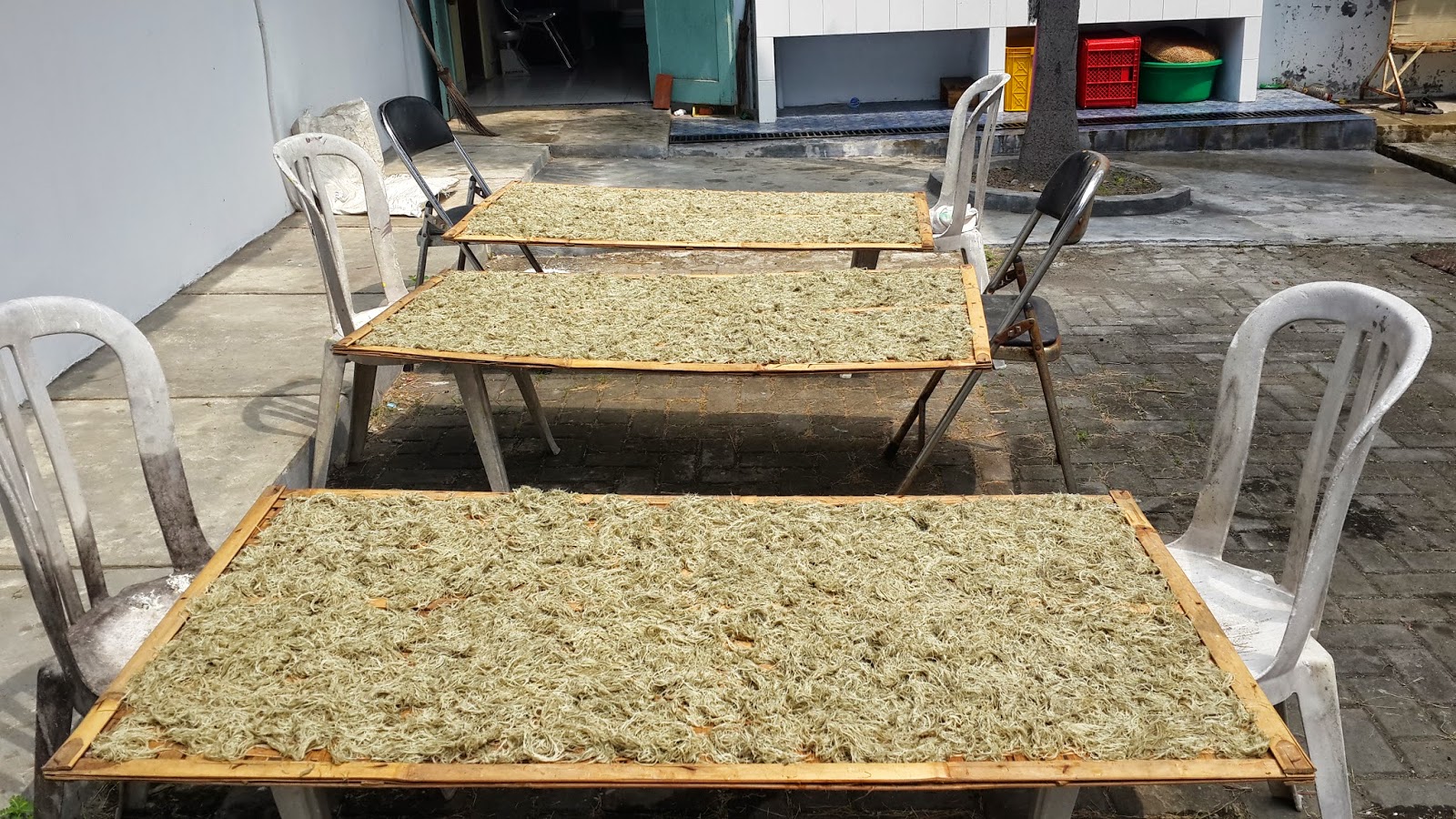resep membuat cendol rumput laut jenis glacilaria sp resep membuat cendol rumput laut jenis glacilaria sp