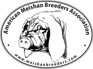 Learn More About Registered American Meishans