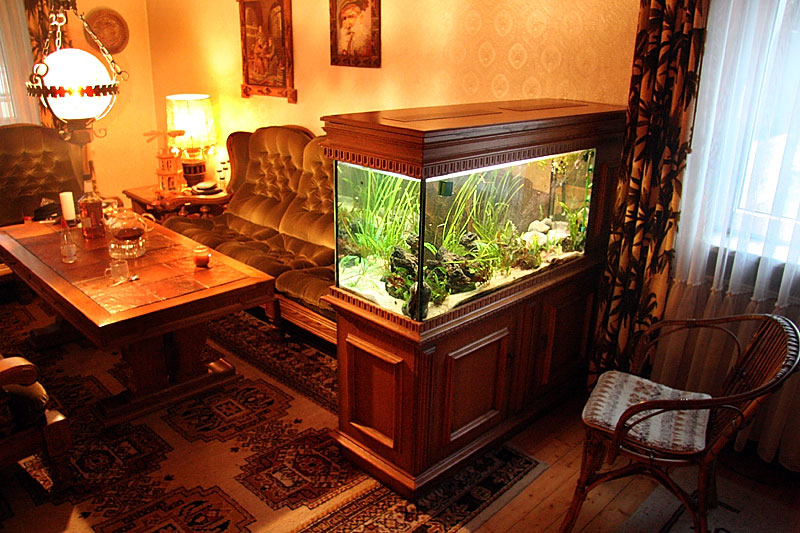 Modern Fish Tank Living Room for Large Space