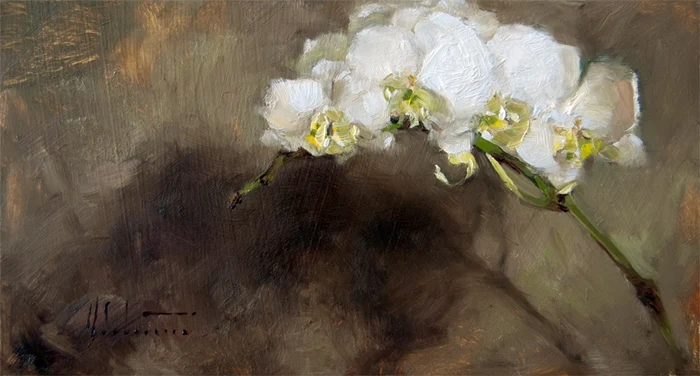 Mara Schasteen 1976 | American Still life painter