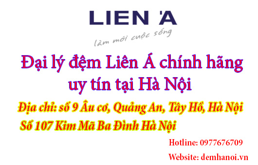 http://1.bp.blogspot.com/-e24C6TD4bMI/VnexENIFXwI/AAAAAAAAAdc/_8ponYyHFBg/s1600/dai-ly-dem-lien-a-chinh-hang.jpg
