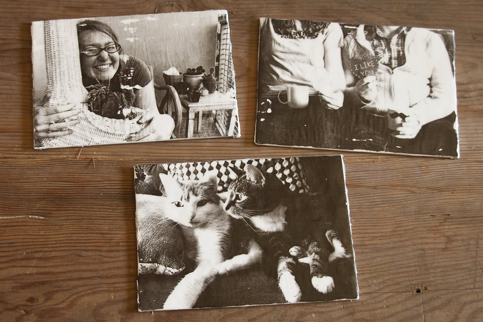 Insideways Diy Photo To Canvas Transfer