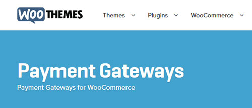 Free Download Woo Themes WooCommerce Payment Gateways Extension Pack Free Download Woo Themes WooCommerce Payment Gateways Extension Pack