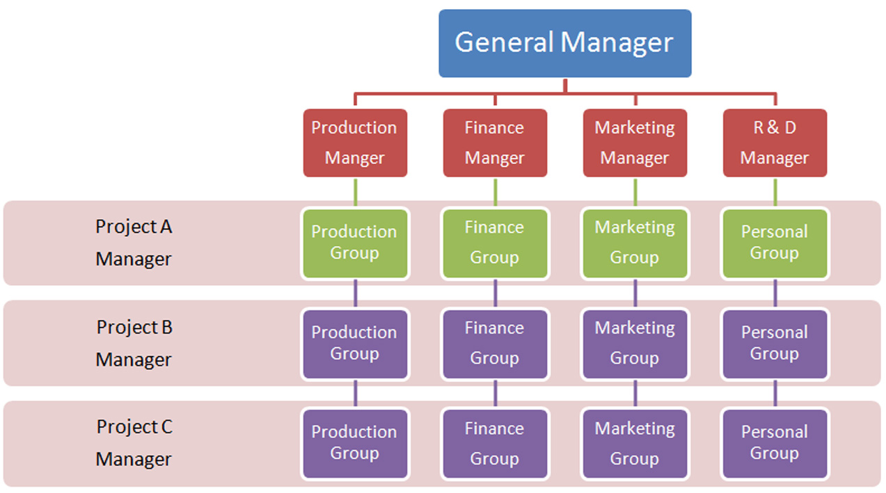 Matrix Structure Organizational Chart