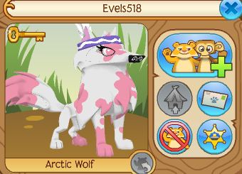 The Animal Jam Life: 2 Arctic Wolves!!!