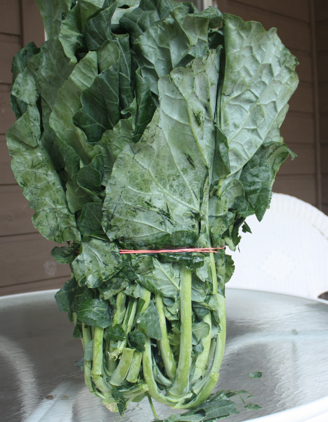 Best of Long Island and Central Florida Baby Back Ribs & Collard Greens