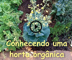 CONHECENDO UMA HORTA ORGÂNICA