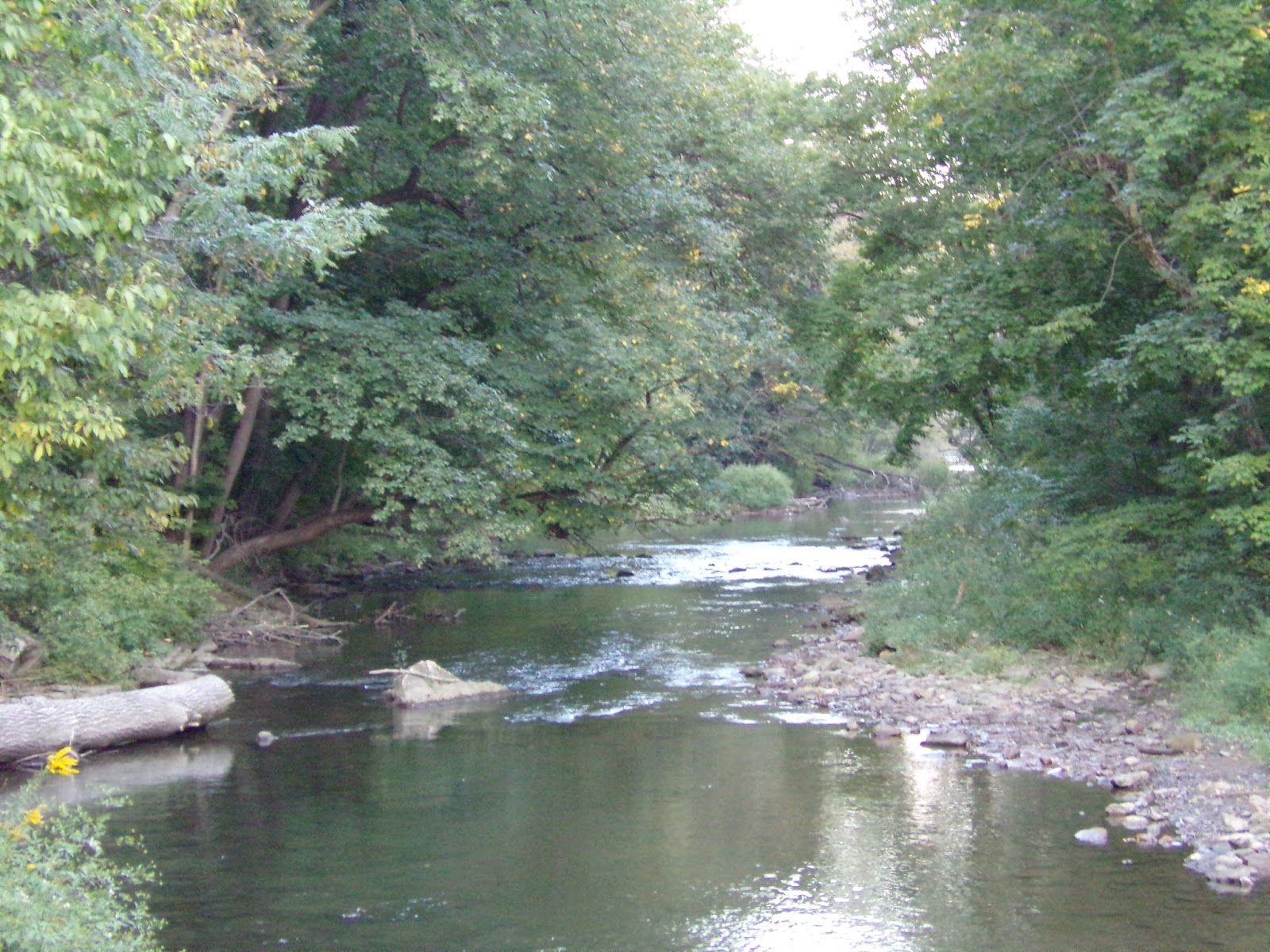 Allentown Lil' LeHi Trout Hatchery Interesting Pennsylvania and Beyond