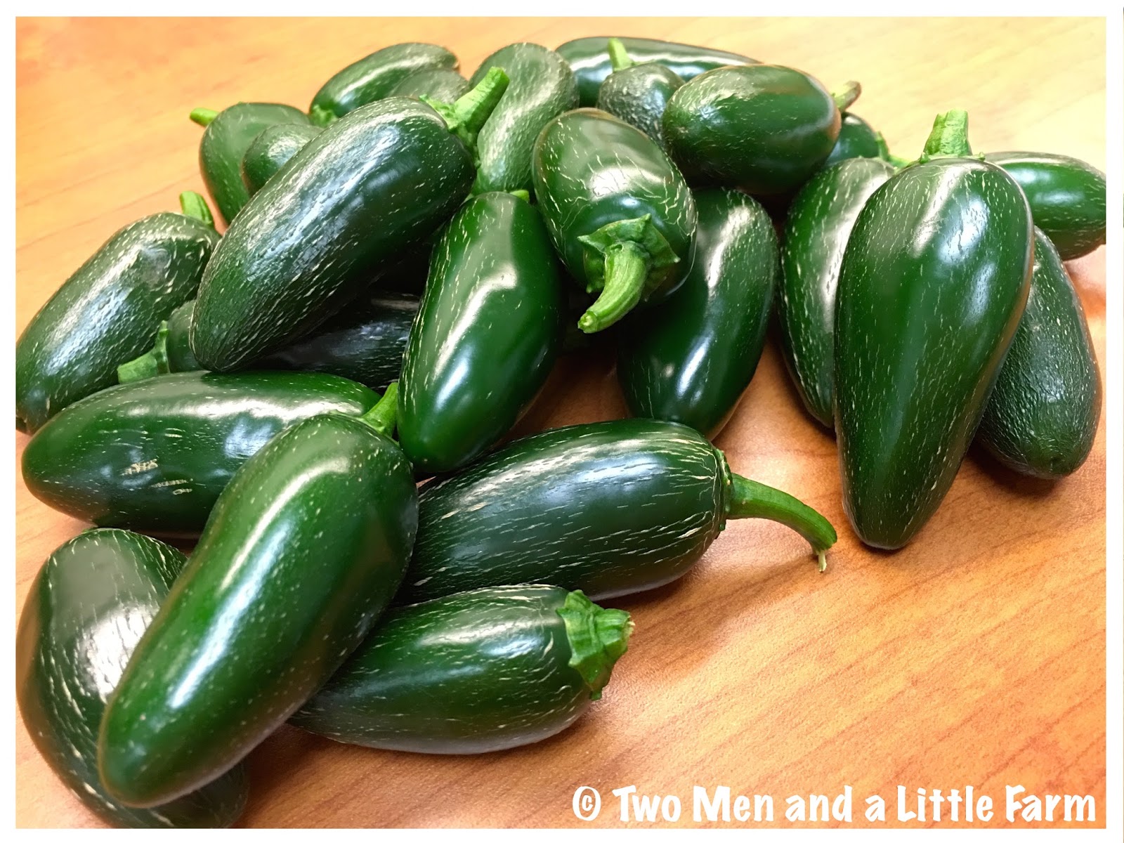 Two Men and a Little Farm GARDEN FRESH JALAPEÑOS