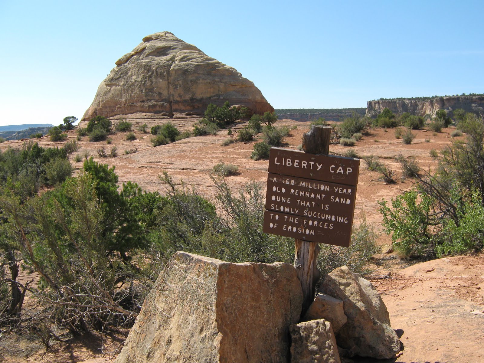 Liberty Cap