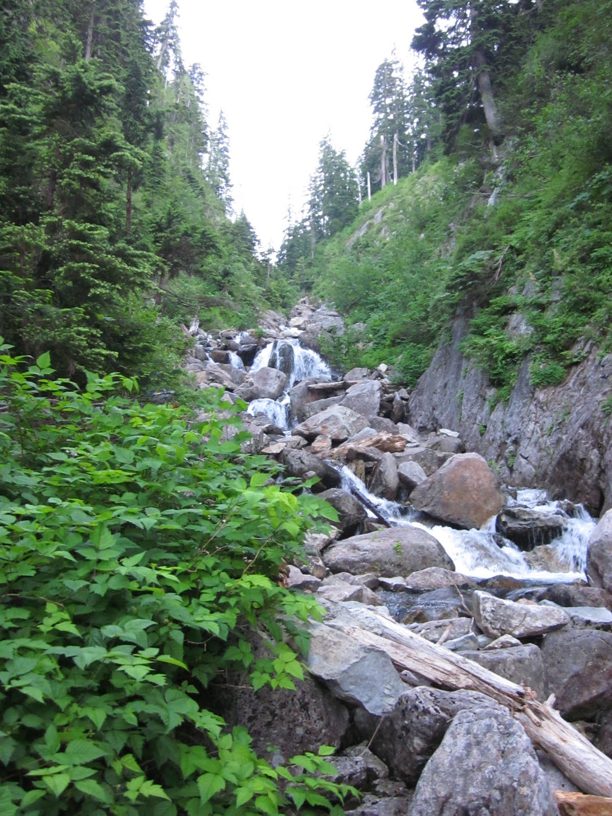 Nature's Playgrounds Derrick Lake