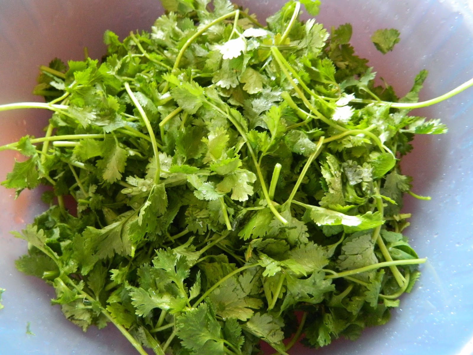 Geeths Dawath Coriander chicken roast