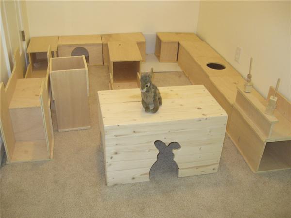 http 1 bp blogspot com e4p9qjhuzsg ut46qjoqb1i aaaaaaaaezc 1s 6hjmhits s1600 04 pacer bunspace bunny rabbit jpg
