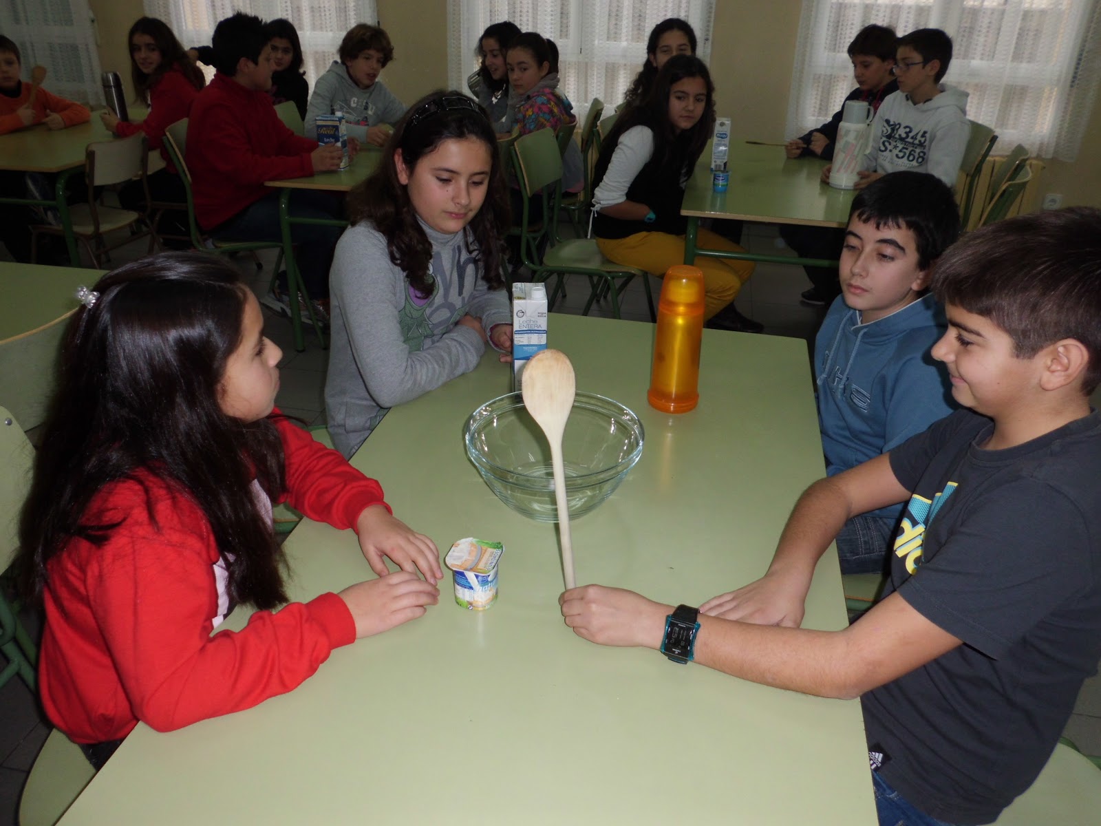 SCIENCE IN THE SCHOOL REPORT MAKING YOGHURT