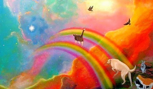 animales-arcoiris.jpg