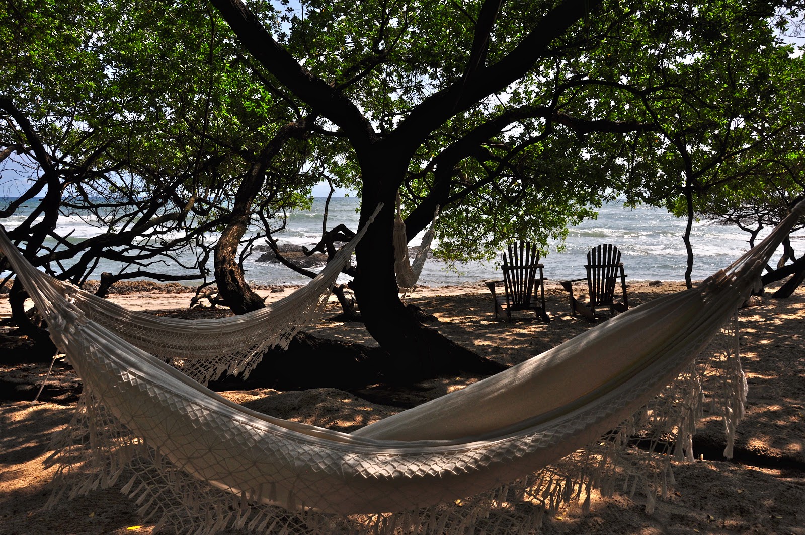 Tamarindo, Costa Rica Daily Photo Beach hammocks under the trees