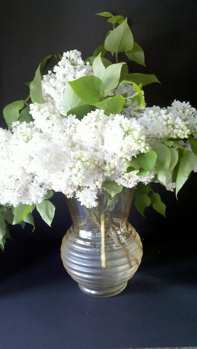 Double White Lilacs