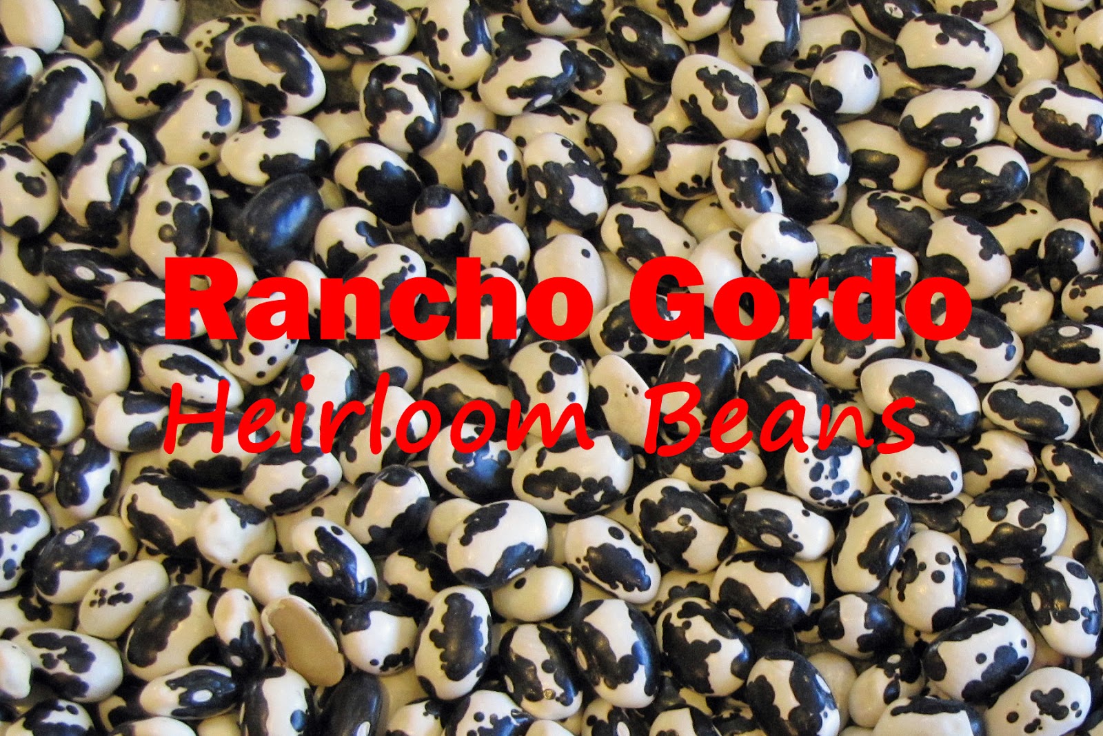 Black Bean Soup with Chipotle Chiles featuring Rancho Gordo Heirloom Beans