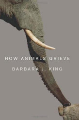 How Animals Grieve