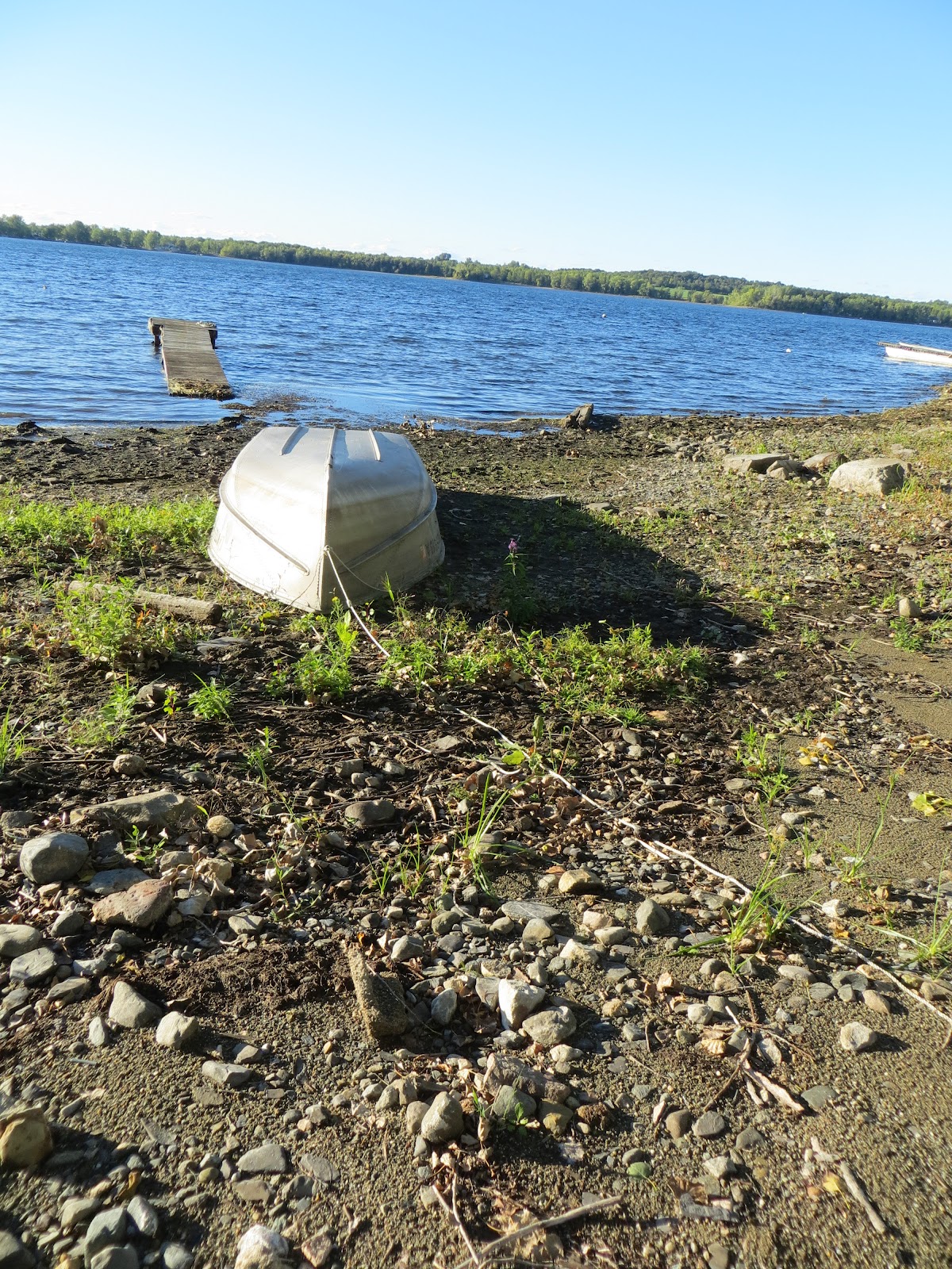 Hill Slug Chronicles: Vermont Part 1: Driving