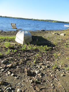 Hill Slug Chronicles: Vermont Part 1: Driving