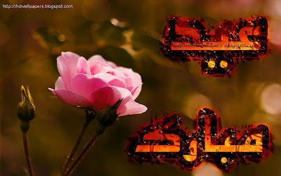 Beautiful Light Pink Rose Flower Eid Mubarak Cards 2012 Urdu Text