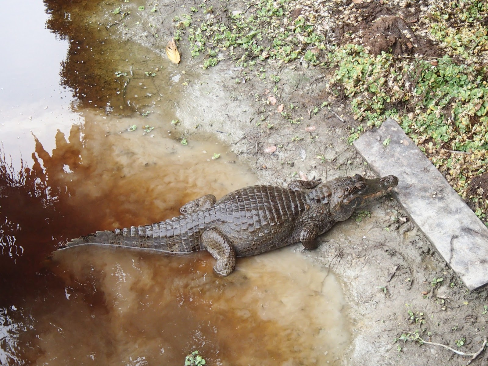 nous avons rencontres