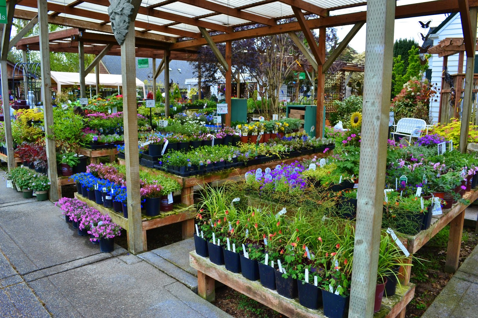 Linda Letters Friday Field Trip Vassey Nursery in Puyallup, WA