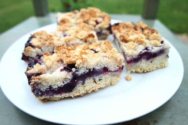 Blueberry Crumble Slices