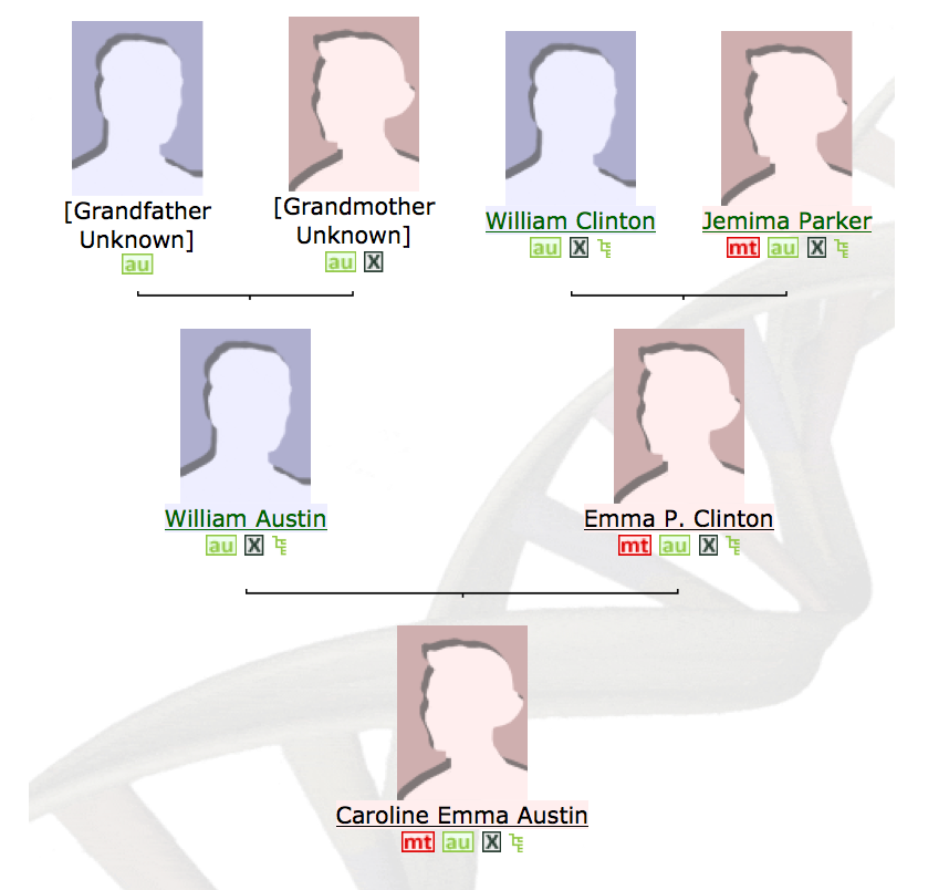 DNASurnames Project Diary Family Tree DNA X matches