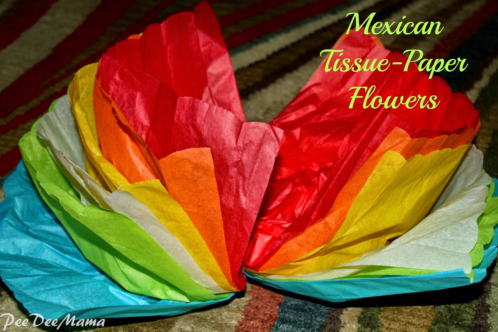 How To Make Mexican Tissue Paper Flowers Best Flower Site