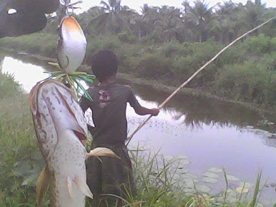 mancing bareng pengotek