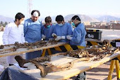 PRATICAS FORENSES