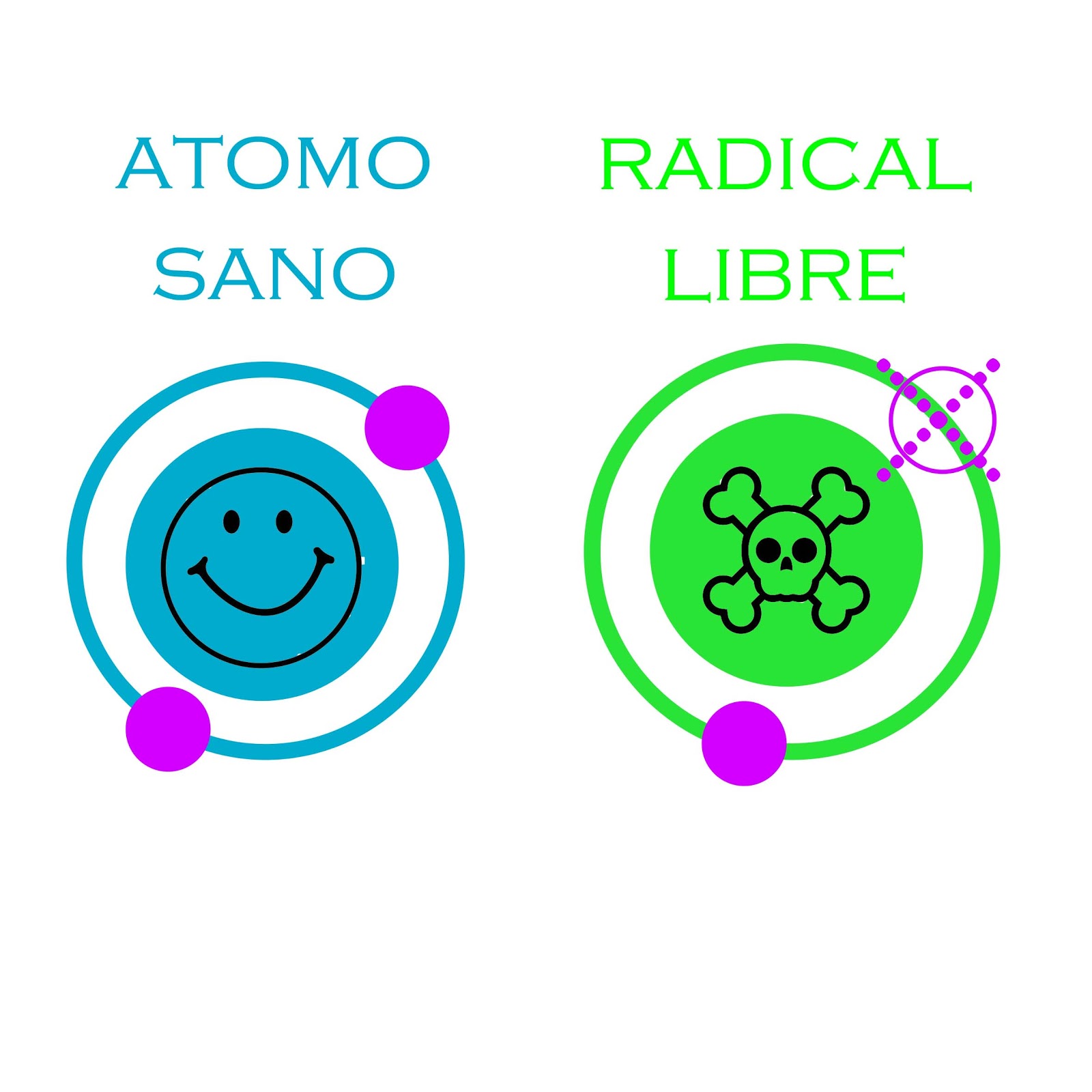 Diario manzana Principios básicos de nutrición antiaging Radicales