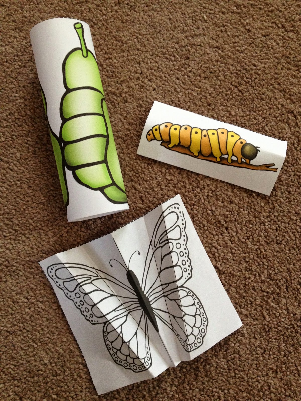 Crayons & Cuties In Kindergarten Interactive Butterfly Lifecycle Craft