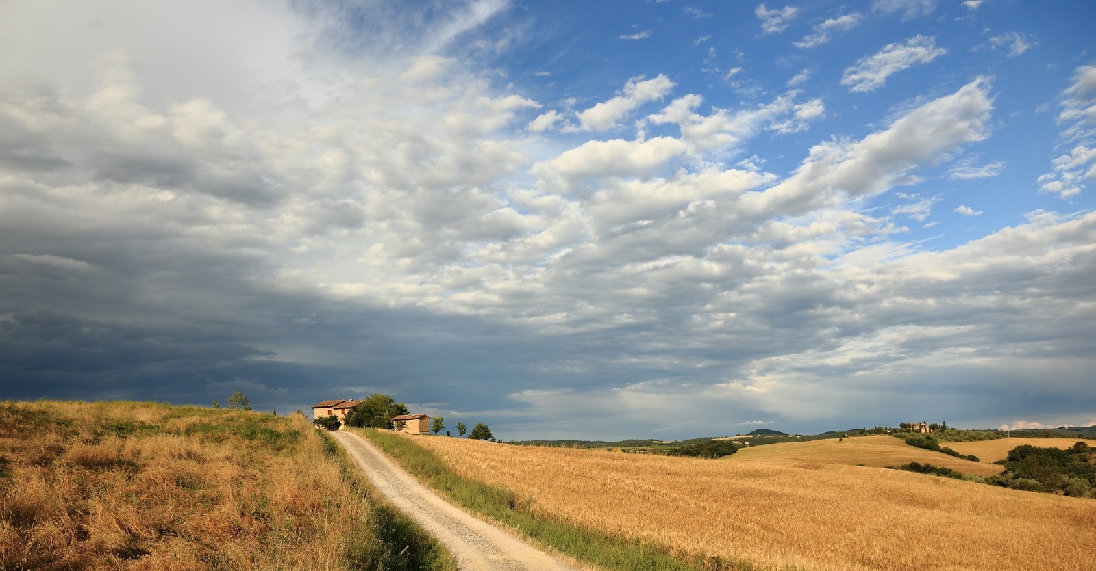 Tours of Tuscany