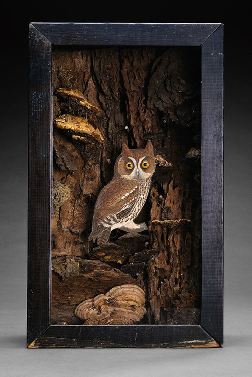 my owl barn joseph cornell and his boxes my owl barn joseph cornell and his boxes