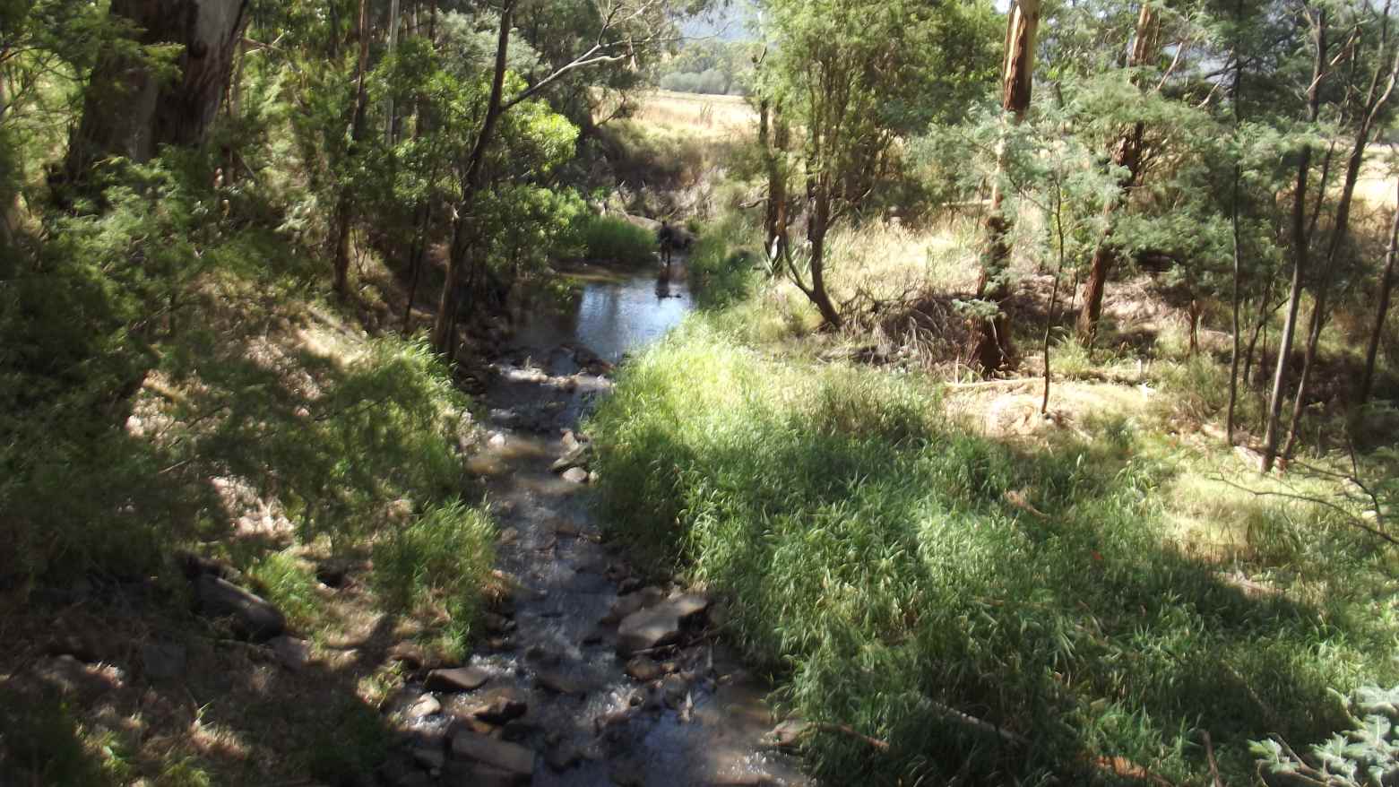 TRACKS, TRAILS AND COASTS NEAR MELBOURNE Warburton Rail Trail