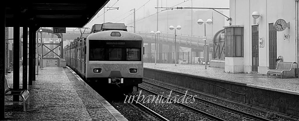  URBANIDADES                