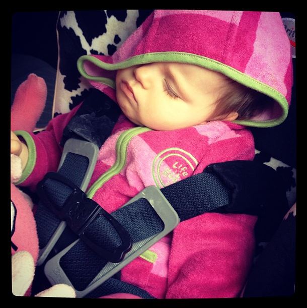 Grace and Josie The Pitfalls of Hoodie Use Among Babies in Car Seats