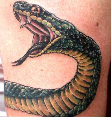 3D Snakes Tattoo on Biceps and Triceps