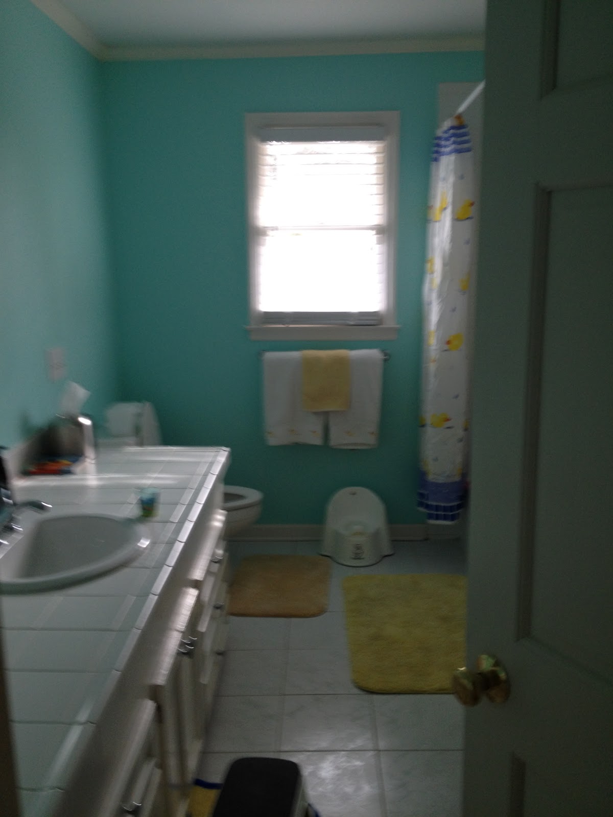 The Roberts in Cola Town Our Shirley House