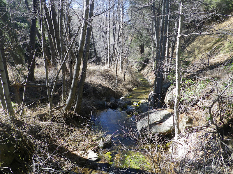 David Stillman Chorro Grande to Reyes Creek, by way of Reyes Peak and