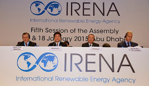 International Renewable Energy Agency (IRENA)