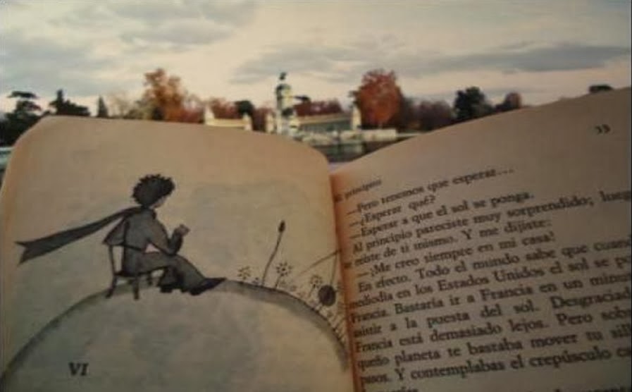 te regalo una rosa la encontre en el camino