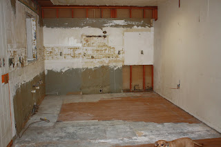 Violets have been arriving